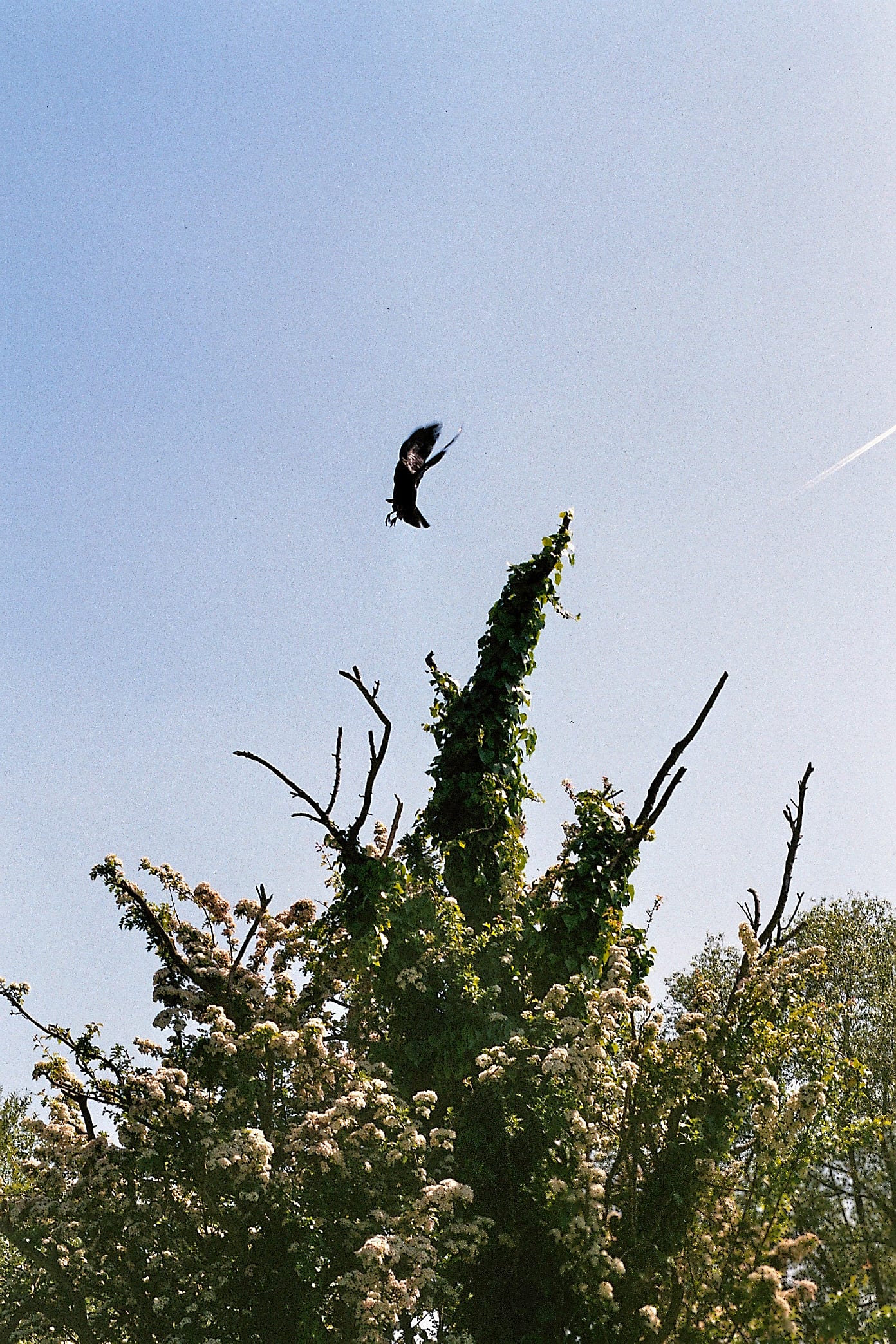 UK, frame 1